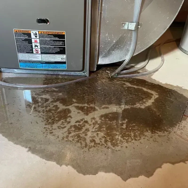 Appliance Leak Cleanup in Delavan, WI